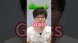 how to say "Grass" in Chinese #学习中文 #learnchinese #learningchinese #chinesevocabulary #mandarin