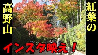 【ちかくの車窓から】紅葉の高野山の車窓から　 KOYASAN / JAPAN