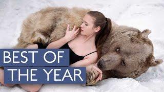 Best Videos Of The Year Compilation | Caters TV