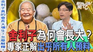 【精華版】舍利子為何會長大？專家正解出乎所有人預料