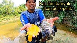 Menjala Di tempat Baru...Kena Datang Lagi #gengdunia #fishing #fyp