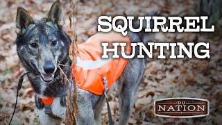 Squirrel Hunting in Illinois with a Laika Dog | DU Nation