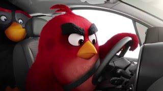 Citroen ︎ Angry Birds – Berlingo Beepbeep