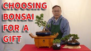 Gifting a bonsai for a Christmas gift? Watch this video first.