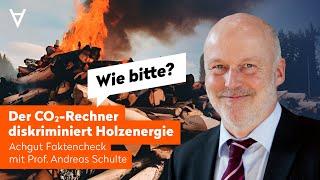 Achgut-Faktencheck: Amtlicher CO₂-Rechner diskriminiert Holzenergie