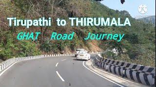 TIRUPATHI to THIRUMALA Ghat Road Journey