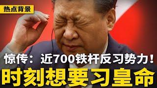 蒲城事件惊动中央，军委特批：武警清场！近700铁杆反习势力，时刻想要习近平命！哈工大告诉全球：中国人体内20种农残留；中国法拍房高达37万套，金融危机大增  | #热点背景（20250109）