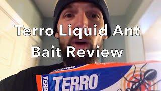 Terro Liquid Ant Bait Review & Tour of the 'Ant Superhighway'