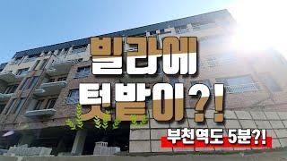 부천역신축빌라 텃밭과 테라스가 있는 심곡본동 빌라분양 테라스, 복층도 있어요 / 내집장만TV 블루하임 [부천신축빌라][부천신축빌라매매]