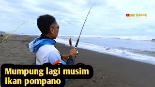 Mancing pasiran cilacap full strike ikan pompano