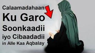 Calaamado Hadad isku Aragto Soonkii Alle Kaa Aqbalay Laylatul Qadrina Wad Heshay