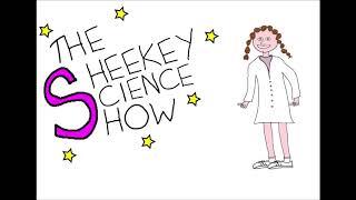 Welcome to The Sheekey Science Show!