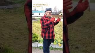 Модный приговор... Ой, то есть гид, на ферме «Коза Ностра». Ферма коз. Дегустация сыра. #shorts