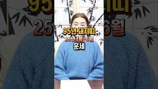 95년 돼지띠 25년 갈등하는 이시기 대처법 #돼지띠