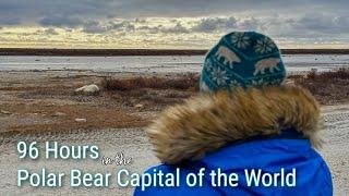 96 Hours in the Polar Bear Capital of the World: What It's Like to See Polar Bears in Churchill, MB