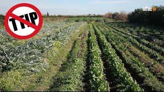 TTIP y agricultura / TTIP and food / TTIP et agriculture - Hanny Van Geel