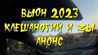 Вьюн 2023.  Клешаногий и Zы.  Анонс