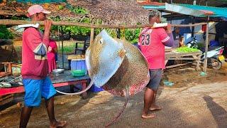 Wow !! Amazing ! TIGER Ray Fish ! Beautiful Street Fish Markets Most Satisfying Fish Cutting