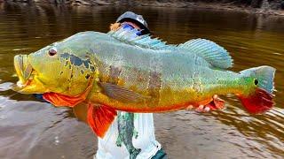 22 Pound MONSTER Peacock Bass || My Life is COMPLETE!