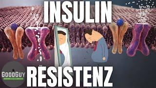 Was ist eine Insulinresistenz! Insulinrezeptor Glucose Leber Pankreas alpha Zellen beta Zellen!