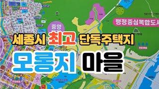 세종시 최고입지 단독주택지 "모롱지 마을 분양"은 언제하나?