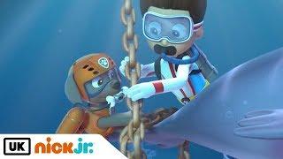 Paw Patrol | Pups Save a Walinda | Nick Jr. UK