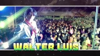 WALTER LUIS ((De Bar en Bar))