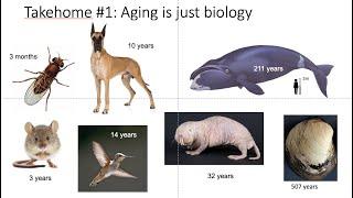 Introduction to the biology of aging