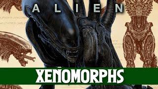 Xenomorph Geheimnisse enthüllt: Das Alien Monster erklärt