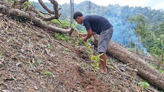 Kehidupan Nyata, Pejuang Keluarga, Aktivitas Pemuda Kebun