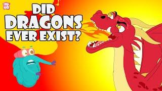 Did Dragons Ever Exist? | Story Of The Dragon | The Dr Binocs Show | Peekaboo Kidz