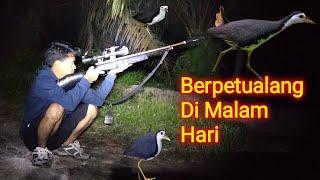 BERBURU BURUNG RUAK-RUAK MALAM EDISI BERPETUALANG DI MALAM HARI