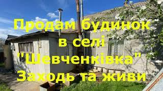 БУДИНОК ПРОДАМ В СЕЛІ "ШЕВЧЕНКІВКА", ЗАХОДЬ І ЖИВИ / ОГЛЯД / Київська область