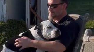 Lonely dog is so happy to finally have a family