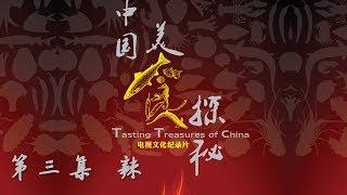 《中国美食探秘》第三集 辣 | CCTV纪录