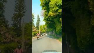 Nuestra eterna primavera en Morelos