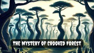 The Crooked Forest: Poland’s Unsolved Mystery