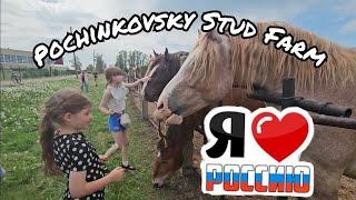 SOVIET Draft Horses! Thank you to Pochinkovsky Stud Farm! Russian horses!