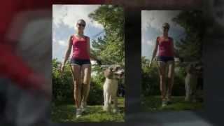 Warringtom PA Dog Obedience Training - by Bob's Pet Stop