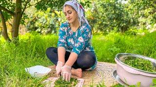 Iran Village Life | Cooking lunch of mountain vegetables