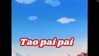 Tao Pai Pai - Corxea Chanpurü