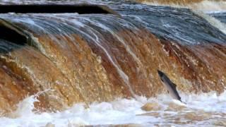 Kielder Water & Forest Park