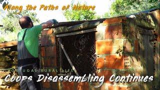 COOPS DISASSEMBLING CONTINUES (Dismantling work continues at my portuguese offgrid homestead) *39