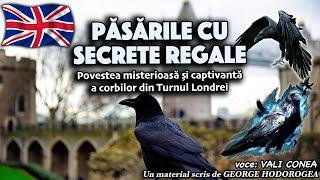 Păsările cu secrete regale * Povestea misterioasă și captivantă a corbilor din Turnul Londrei