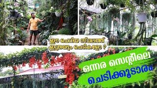 ഒന്നര സെന്ററിൽ ചെടികൾകൊണ്ട് നിറച്ച വീട്  Shenil's Creative Garden Wayanad