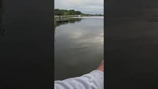 Рыбацкие будни #fishing