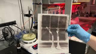 Waxing a Calotype Paper Negative