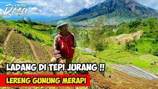 EKSTRIM !! MENCANGKUL DI TEPI JURANG MERAPI !! Cerita Desa Selo, Boyolali - Petualangan Alam Desaku