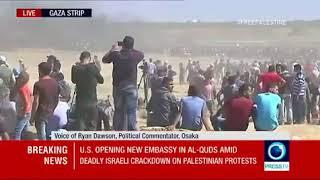 Why Palestinians are protesting and being killed?