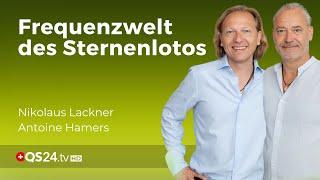 Der Sternenlotos – ein Werkzeug der Neuen Zeit | NaturMEDIZIN | QS24 Gesundheitsfernsehen